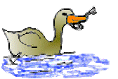 Canard avec clef dans la bouche