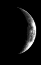 Lune